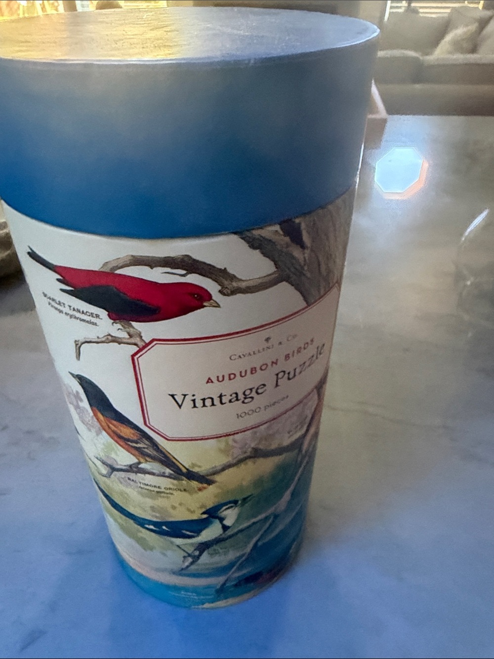 Cavalini Vintage Bird Puzzle Tube – Blue with Red & Teal Illustrations